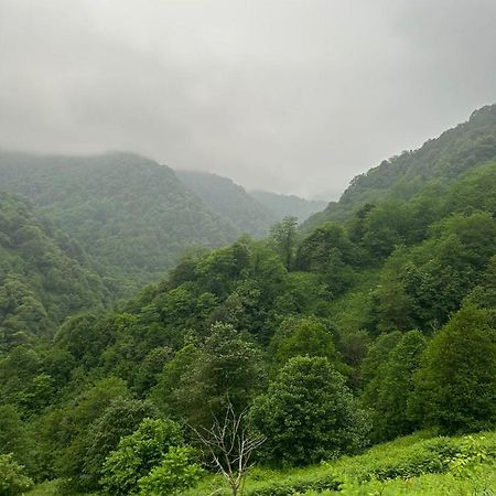 Bed and Breakfast Mtirala Panorama Khala Экстерьер фото